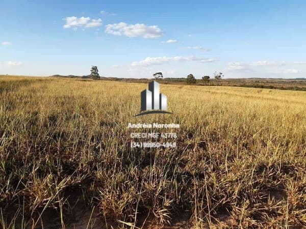 Fazenda 117 Ha. em Lagamar/MG