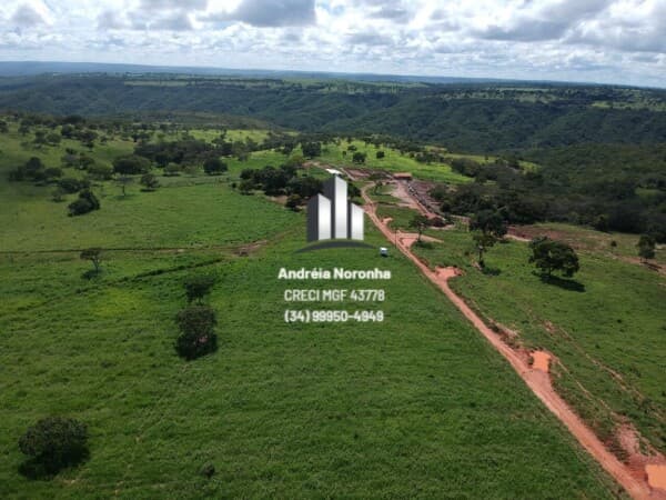 Fazenda 544 Hectares em São Pedro da Ponte Firme, Presidente Olegário/MG
