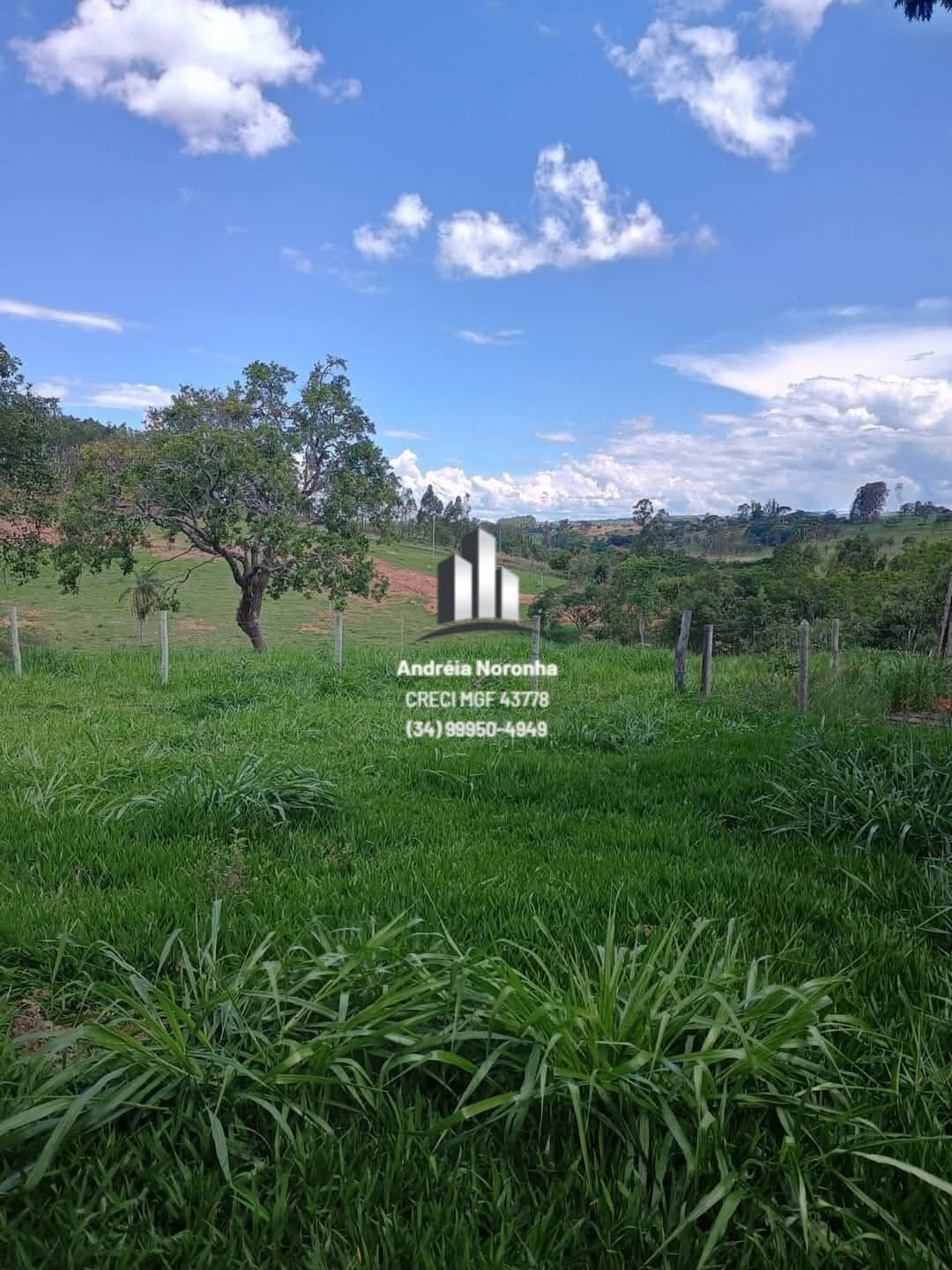 🌴🌳 VENDE-SE SÍTIO 5,5 HECTARES - TAMBORIL - LAGOA FORMOSA 🌴🌳