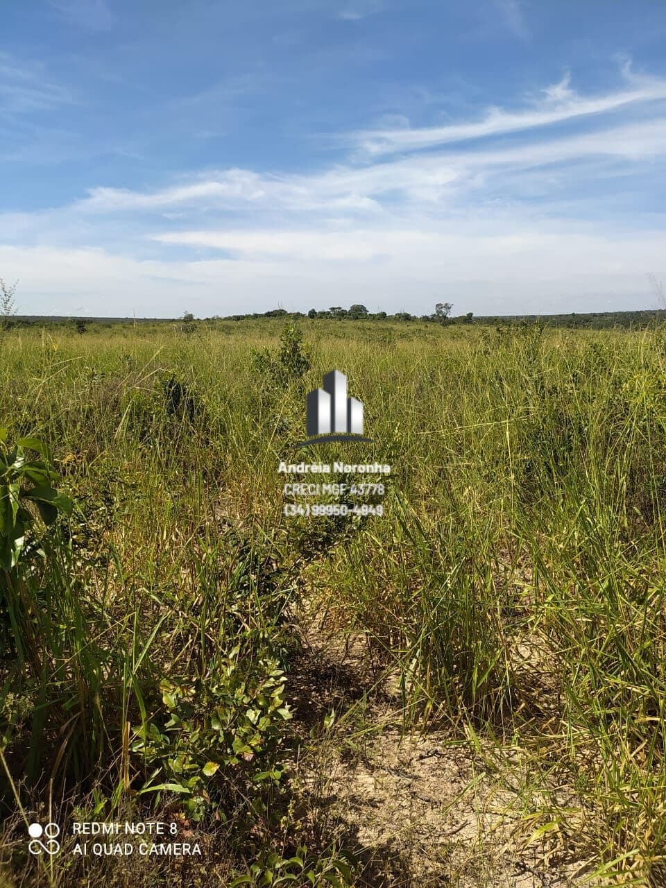 Fazenda/Sítios/Chácaras em Santa Fé de Minas - Centro