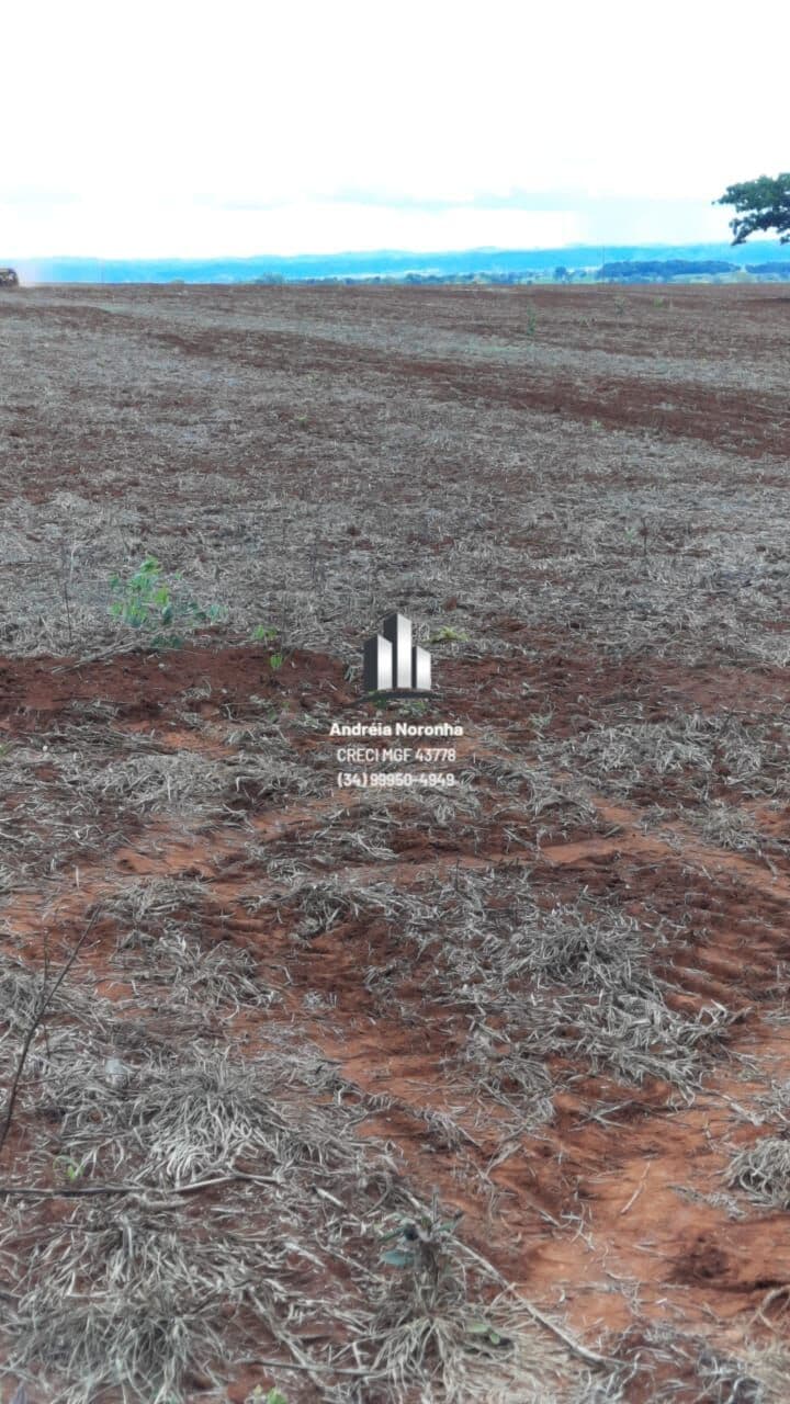 ⭕ FAZENDA EM LAGAMAR - MG ⭕ 336 HECTARES