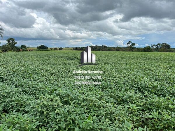Fazenda 22 Hectares na região do Aragão