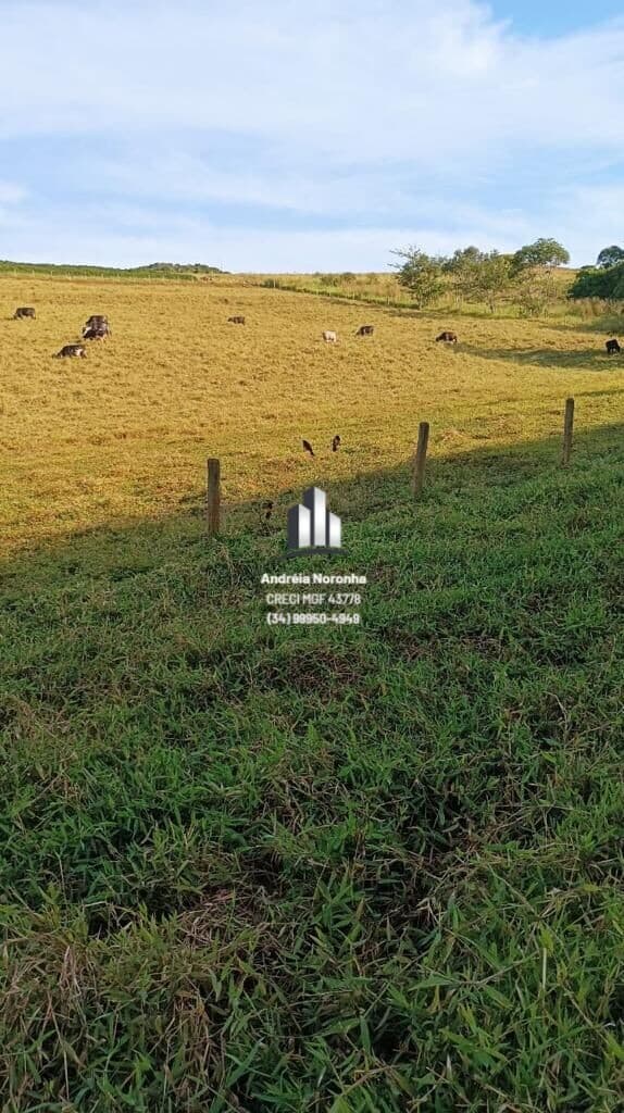 Chácara 5 Hectares na região de Ponto Chic - Patos de Minas