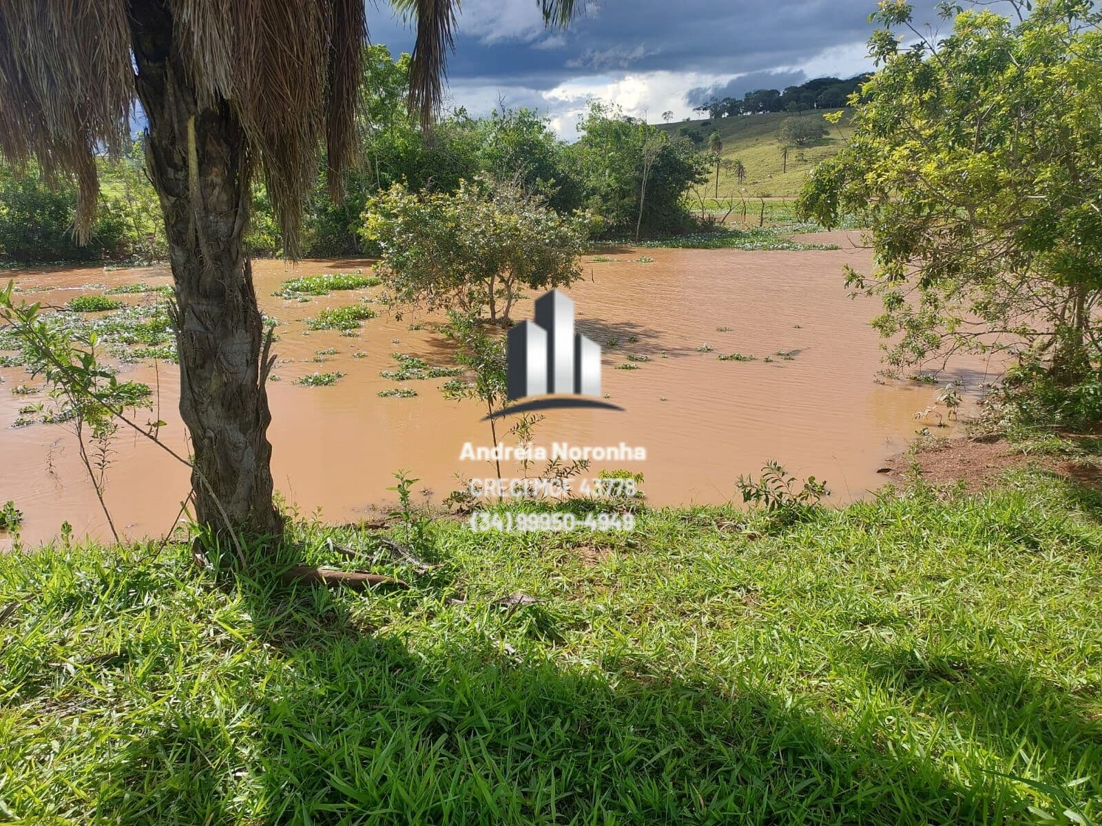 🌴CHÁCARA A VENDA NO COCHILO MANSO - LAGOA FORMOSA 🌴