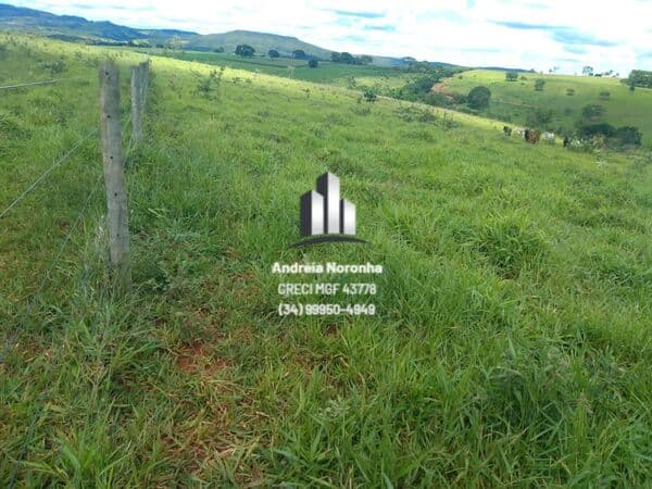 Fazenda para Pecuária em Presidente Olegário