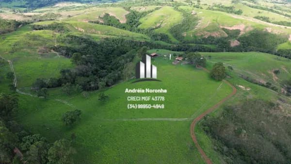 Fazenda 110 Hectares na região de Córrego Rico - Patos de Minas/MG