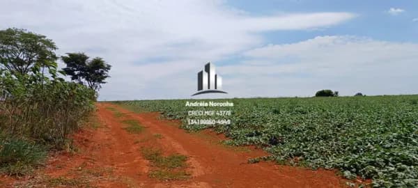 Fazenda 67 Hectares em Guimarânia/MG