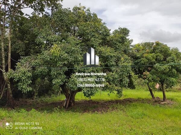 Chácara 3,5 Hectares