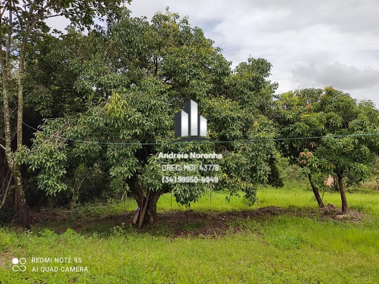 Chácara 3,5 Hectares