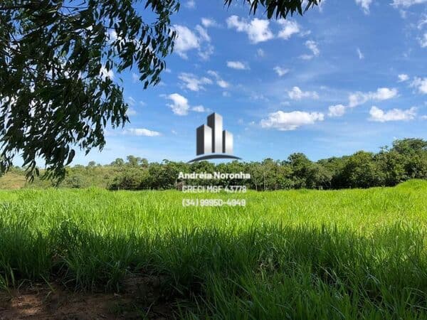 Fazenda 13 Hectares