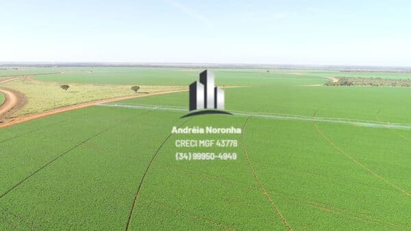 Fazenda 1448 Hectares