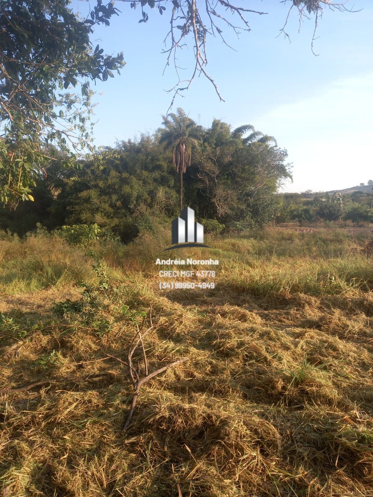 🌴🌳 CHÁCARA DE 5.000 METROS EM CONDOMÍNIO FECHADO - PRÓXIMO A LAGOA FORMOSA 🌴🌳