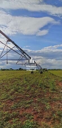Fazenda 100 Hectares em Unaí/MG