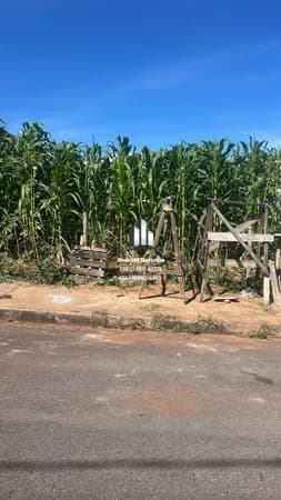 ✳️ LOTE À VENDA NO JARDIM VITÓRIA ✳️