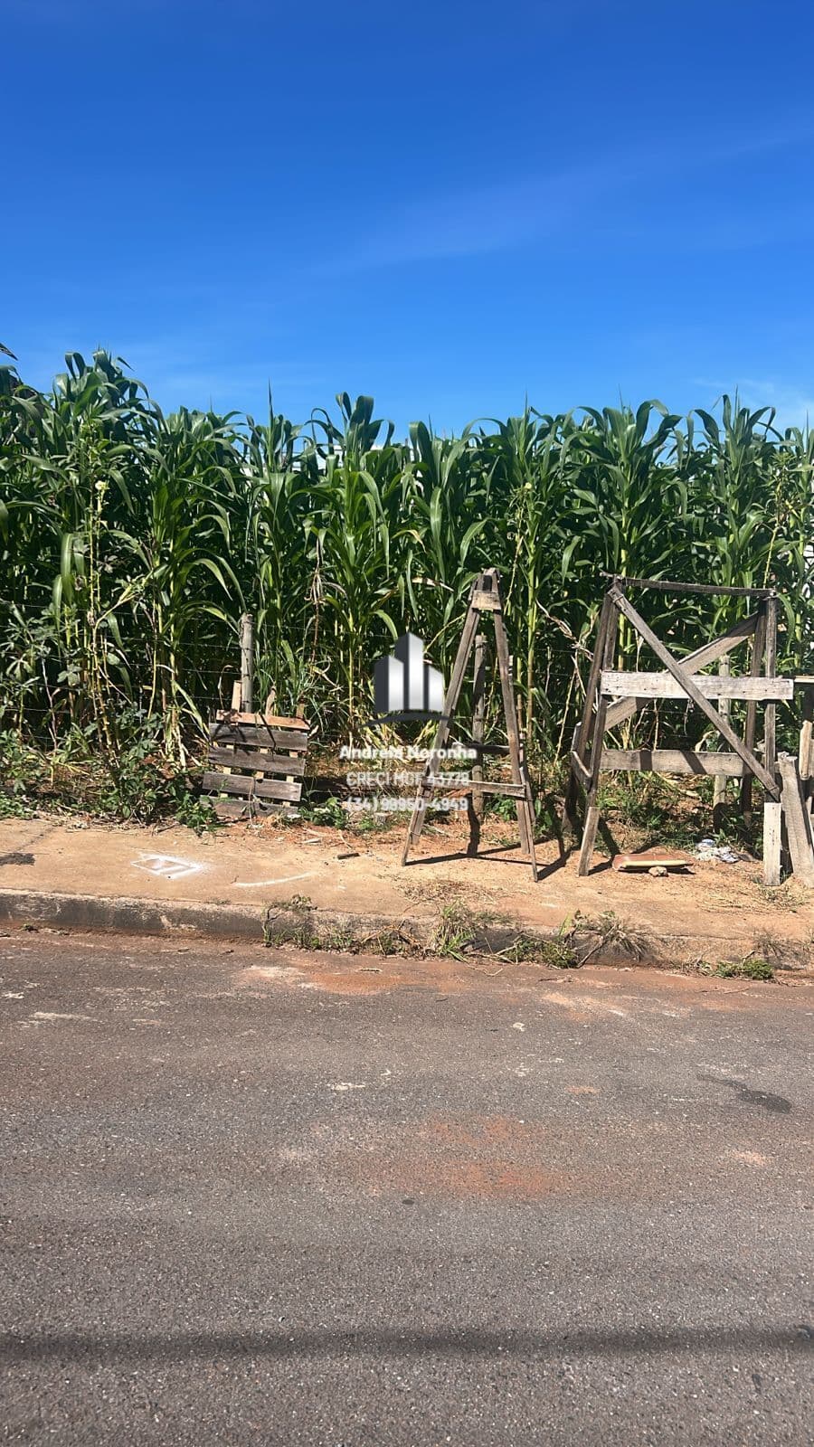 ✳️ LOTE À VENDA NO JARDIM VITÓRIA ✳️