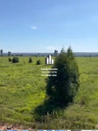 Fazenda 218 Hectares em João Pinheiro/MG
