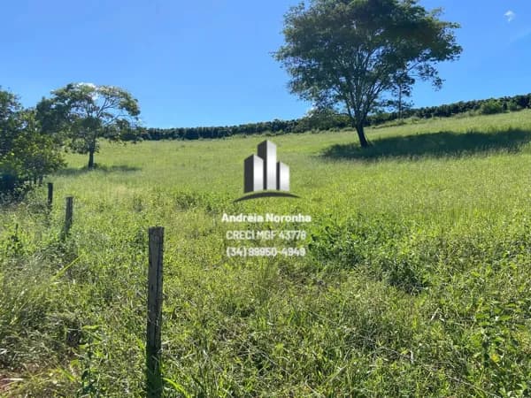 🌳🌴 SÍTIO DE 14 HECTARES A VENDA NO CAFÉ PATENSE 🌳🌴