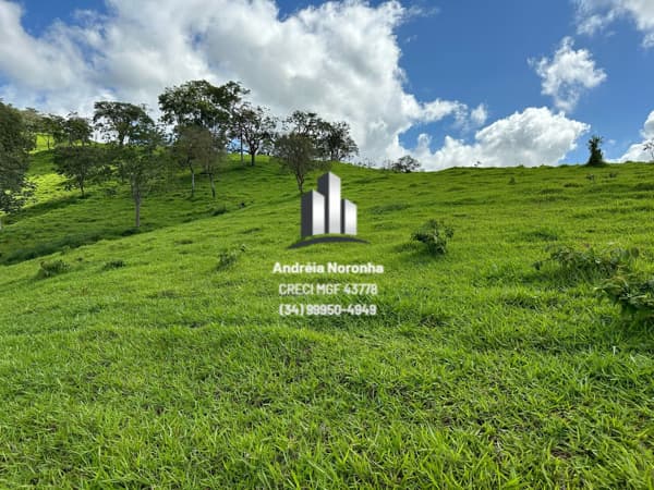 Fazenda 30 Hectares na região de Córrego Rico/Serra do Mamão