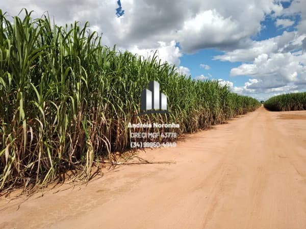 Fazenda 800 hectares em São Gonçalo do Abaeté/MG