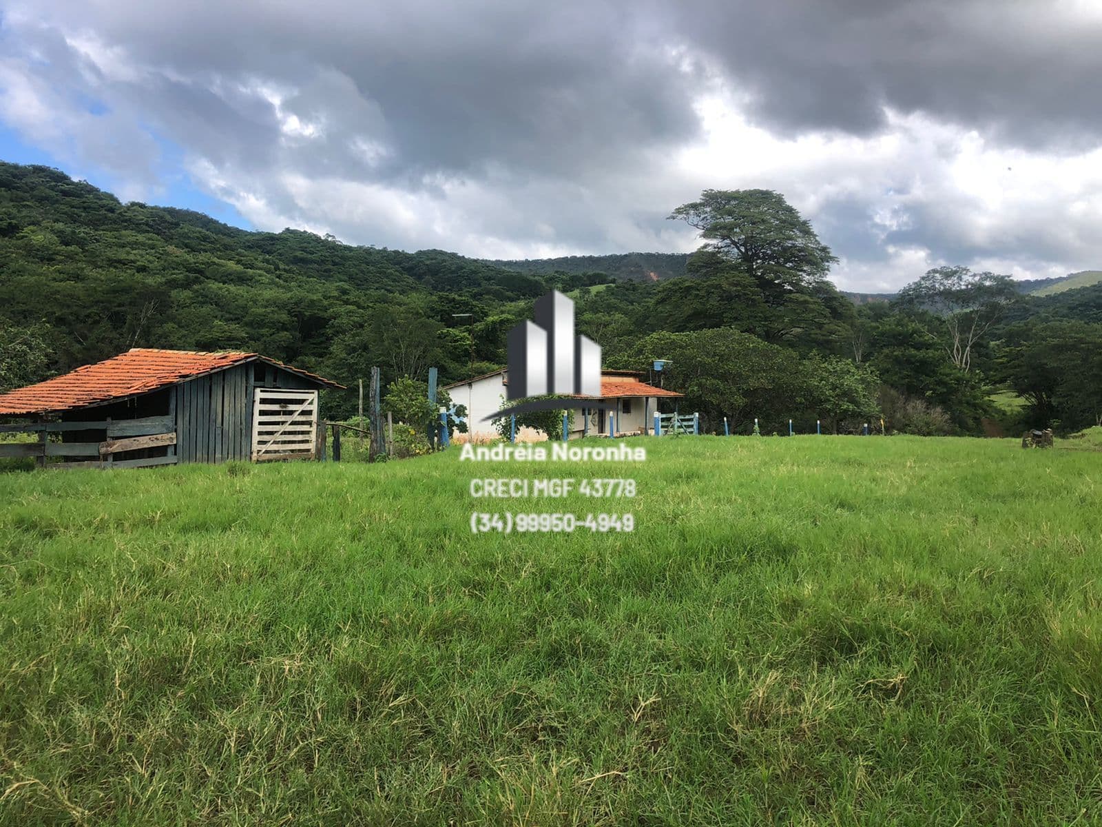 🐄 🌽 FAZENDA SÃO PAULO - 1.401 HECTARES EM NATALÂNDIA MG 🌽🐄