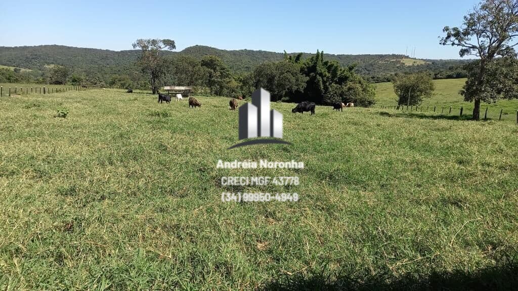 Fazenda 551 Hectares no Triângulo Mineiro
