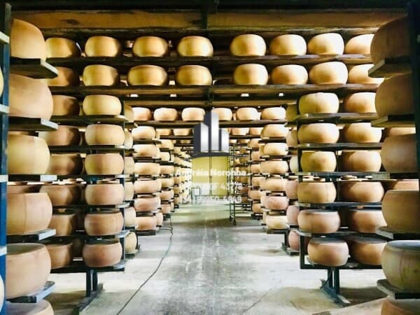 FAZENDA DE LATICÍNIOS E SUINOCULTURA NO SUL DE MINAS
