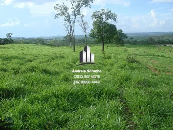 Fazenda 600 Hectares em Vazante/MG - Venda ou Arrendamento