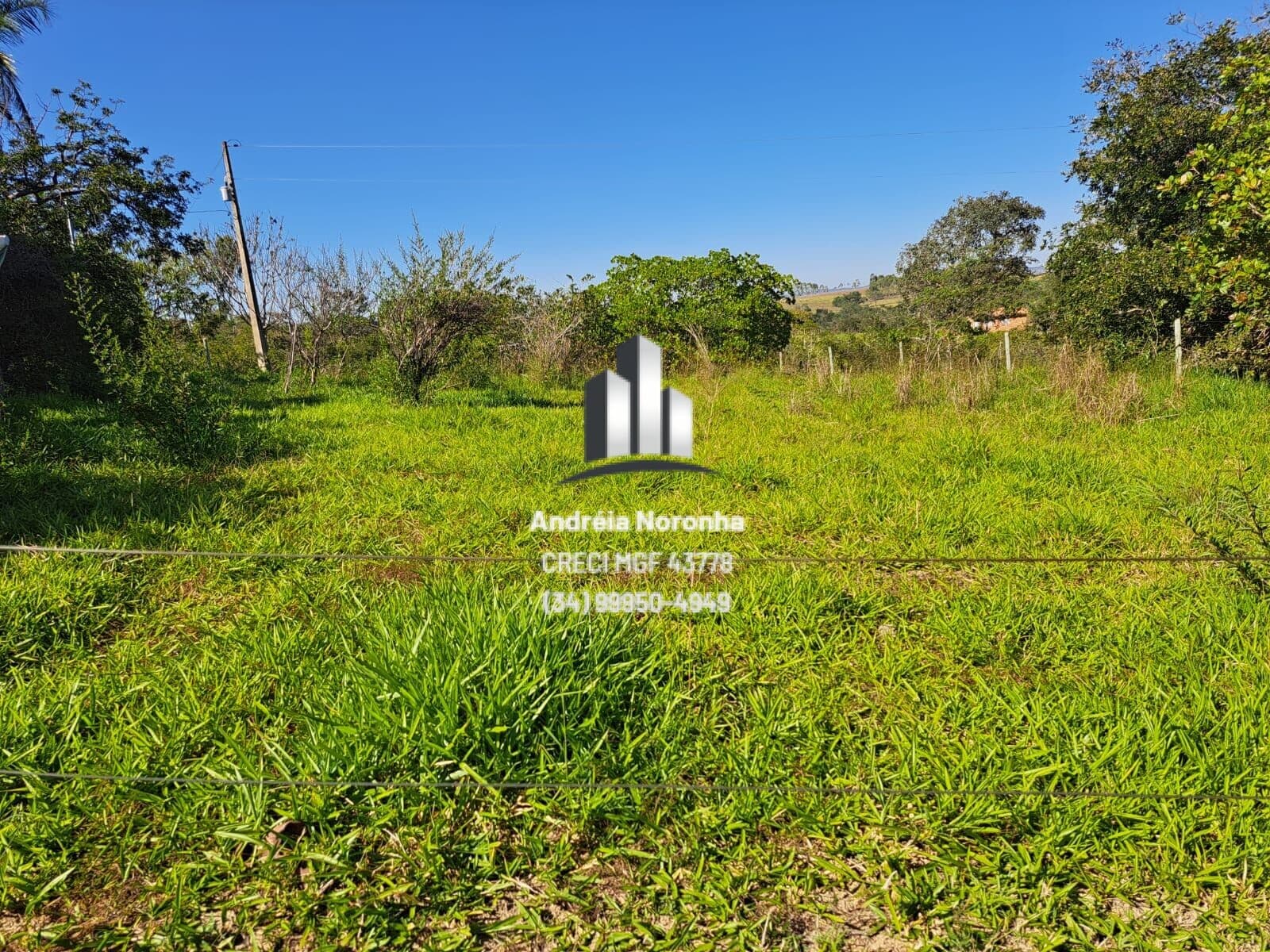 Sítio 17 Hectares em Presidente Olegário/MG