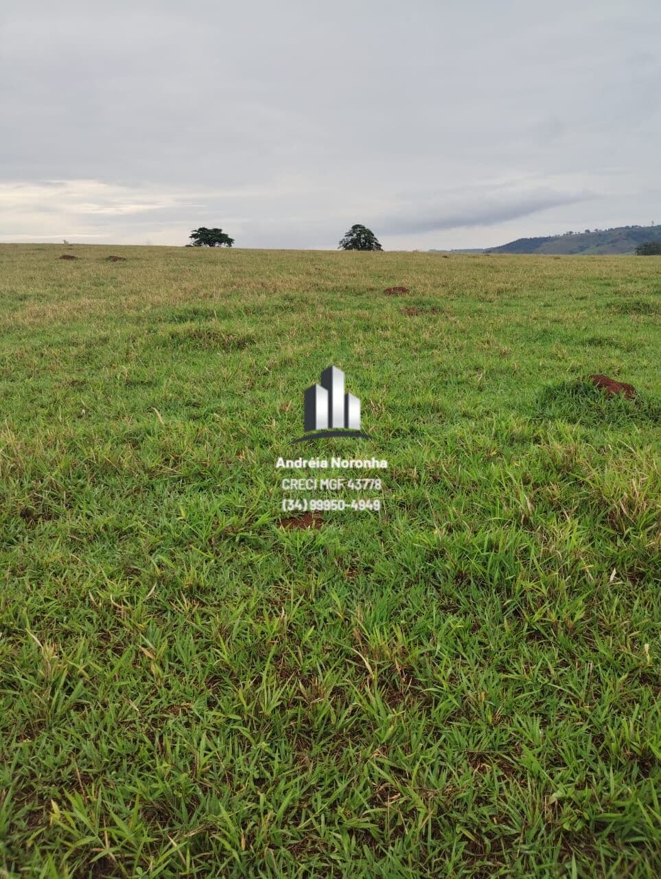 Sítio 13 hectares na Mata dos Fernandes
