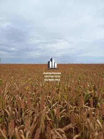 Fazenda 210,54 hectares em Perdizes/MG