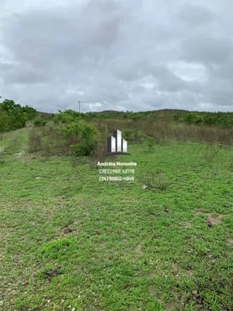 Sítio 10 hectares em Presidente Olegário/MG