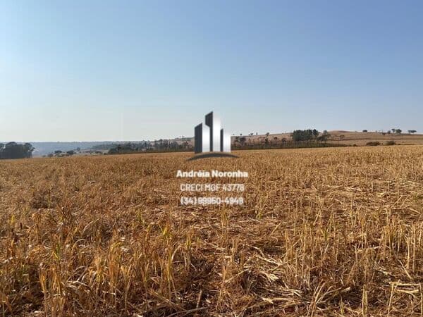 Área de 12 Hectares Para Loteamento