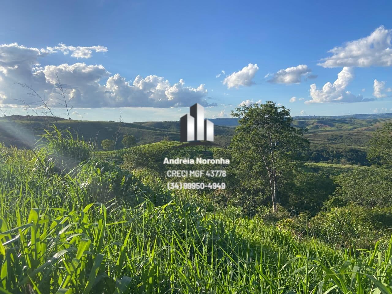 🌳🌴 FAZENDA 32 HECTARES - HA 20KM DE PATOS DE MINAS 🌳🌴