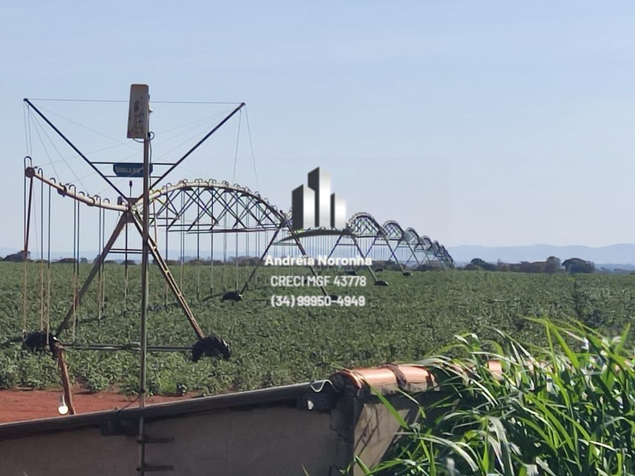 🌴🌳 FAZENDA REGIÃO DE PATOS DE MINAS/MG 🌴🌳