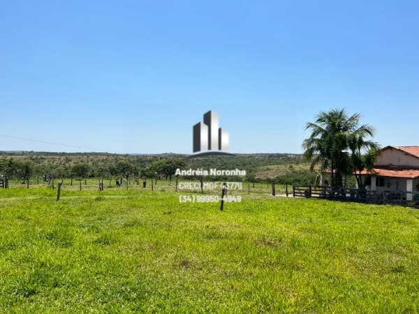 Fazenda 490 Hectares em Presidente Olegário/MG