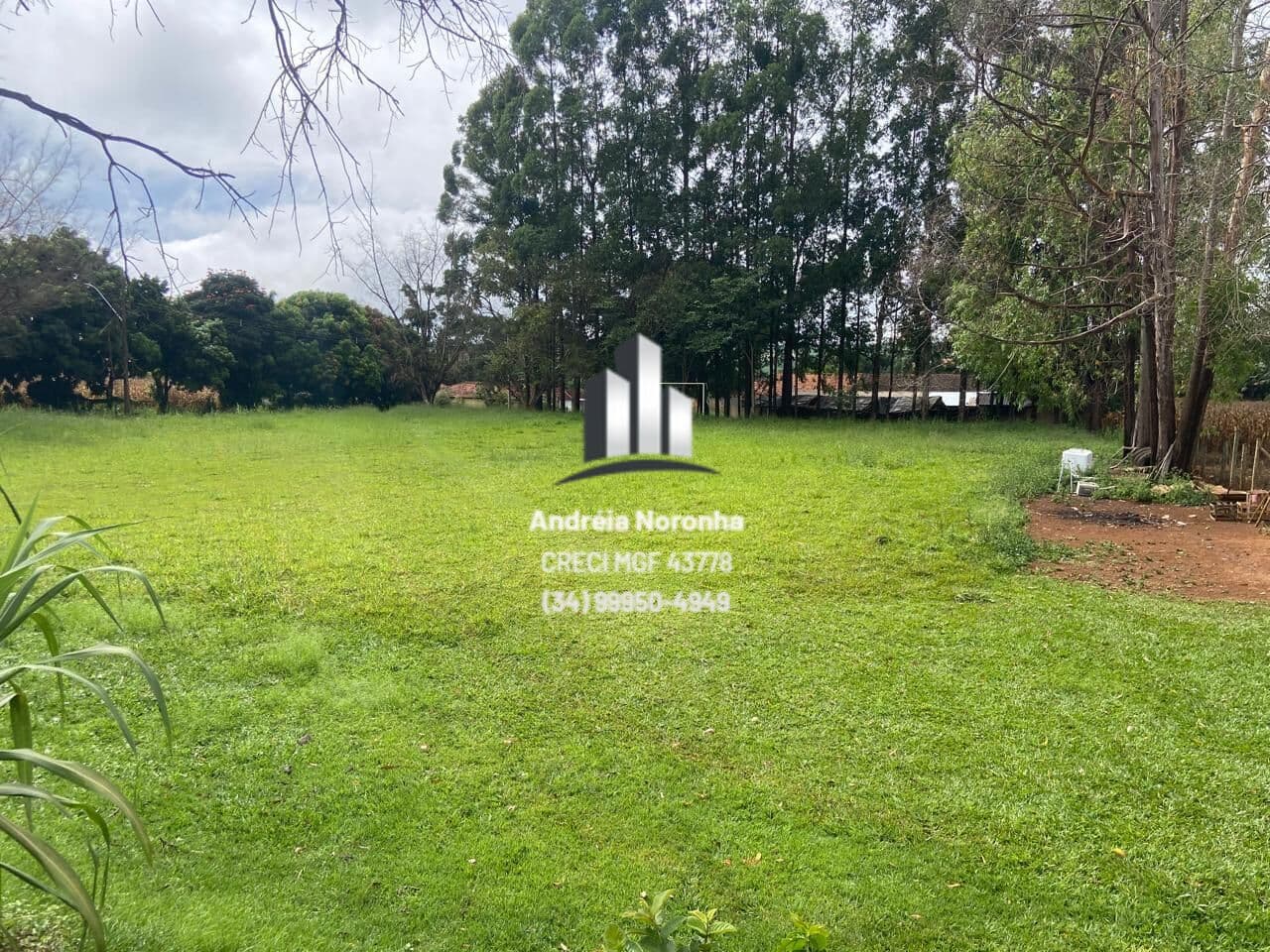 🌳❇️ ÁREA 6700 METROS EM COMUNIDADE PRÓXIMA À PATOS DE MINAS - CASA COM COMÉRCIO FUNCIONANDO 🌳❇️