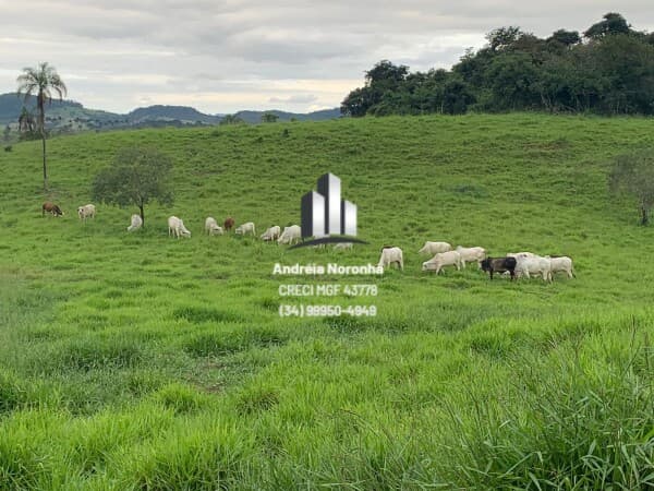 Sítio 8,25 Hectares na região de Capela das Posses, Patos de Minas