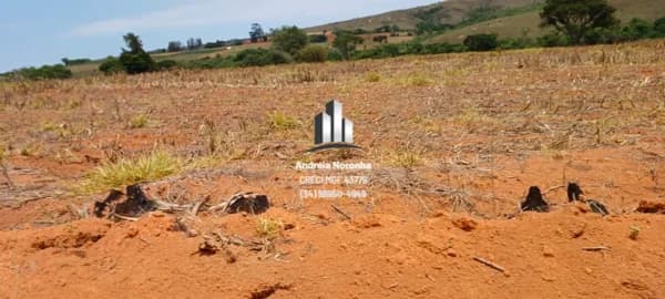 🌴🌳 FAZENDA 40 HECTARES EM GUIMARÂNIA 🌴🌳