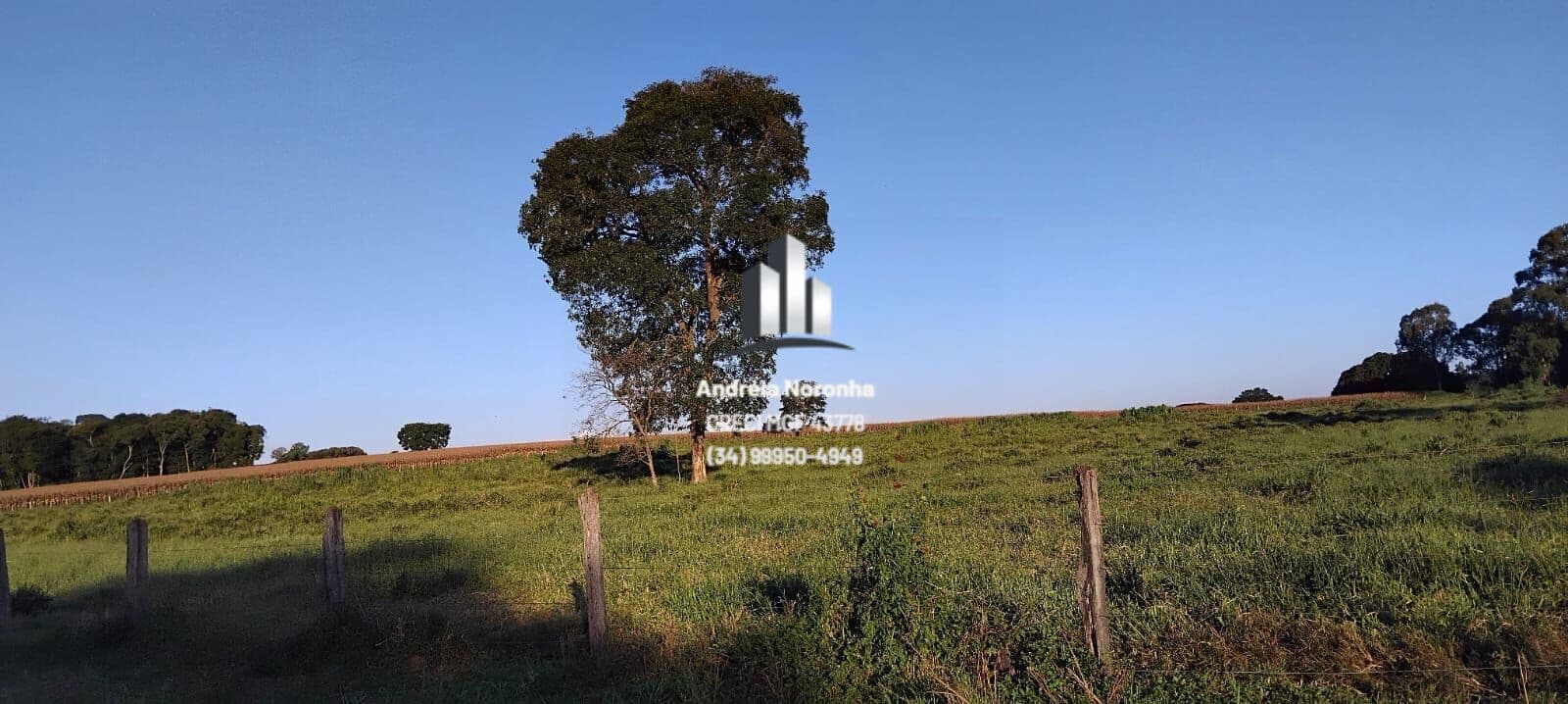 🌴🌳 SÍTIO DE 3 HECTARES, 2KM DO ASFALTO PRÓXIMO AO POSTO PARATY 🌴🌳