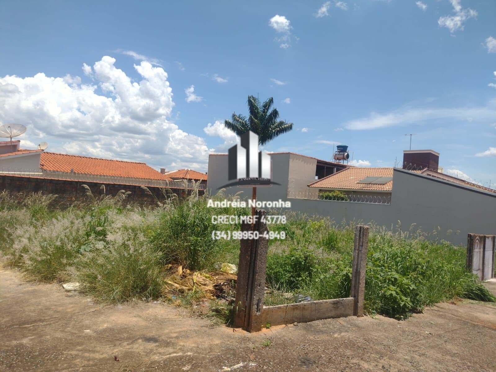 LOTE DE ESQUINA NA AV. BARÃO DO RIO BRANCO