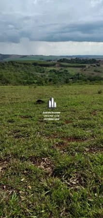 🌴🌳 FAZENDA DE 40 HECTARES NA REGIÃO DE CANJERANA 🌴🌳