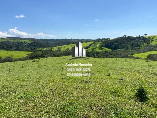 Fazenda 38,8 Hectares próxima à Patos