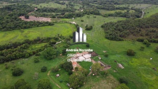 Fazenda 1290 Hectares em João Pinheiro/MG