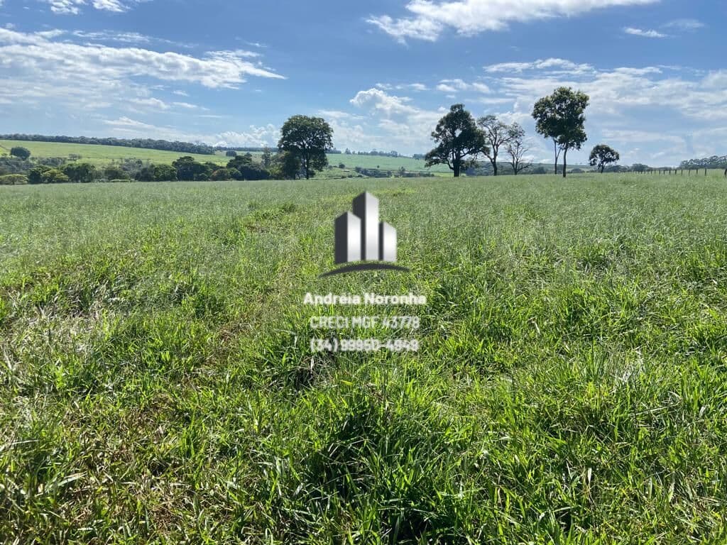 Sítio 15 Hectares ao lado do Posto Parati