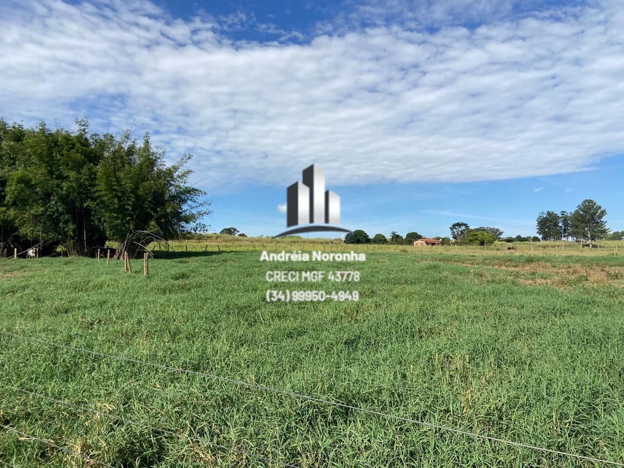 Sítio/Área comercial 12 hectares no Leal, na beira do asfalto