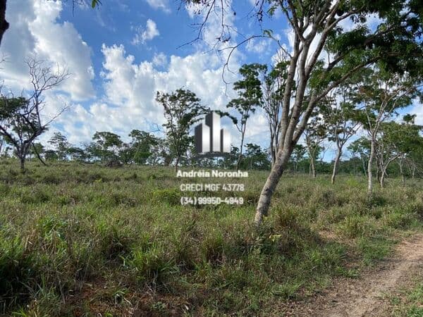 Fazenda 235 Hectares - São Pedro da Ponte Firme