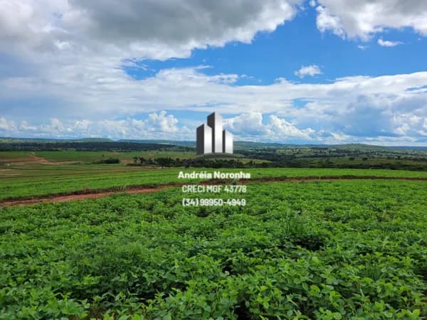 Fazenda 250,82 hectares em Prata-MG