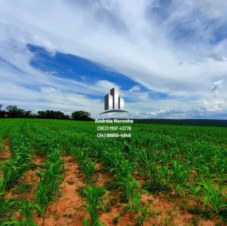 Fazenda 766 Ha em Presidente Olegário/MG