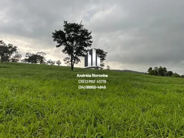 Fazenda 180 Hectares em Frutal/MG