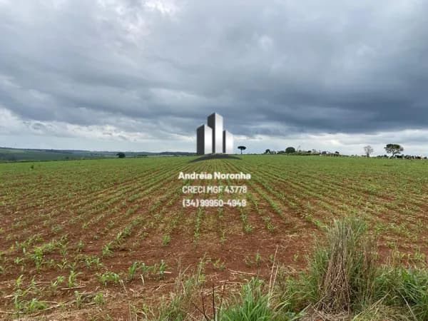 Fazenda 43 hectares na região de Santiago